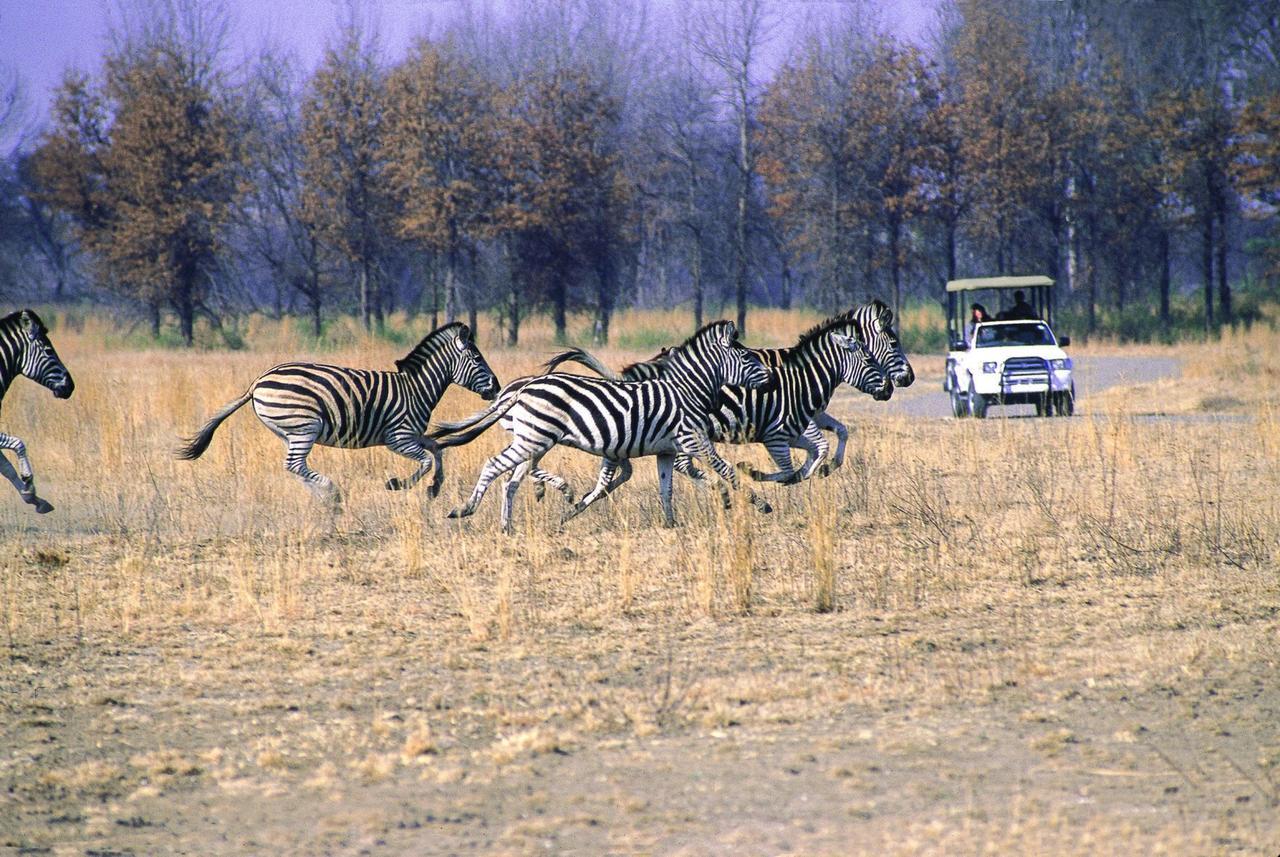 Emerald Resort & Casino Vanderbijlpark Kültér fotó